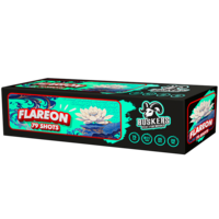 Flareon Nieuw!!